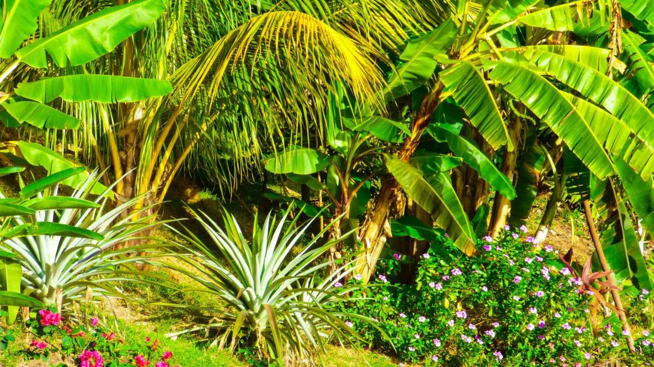 Mouggae Blues Villas Beau Vallon  Exterior foto